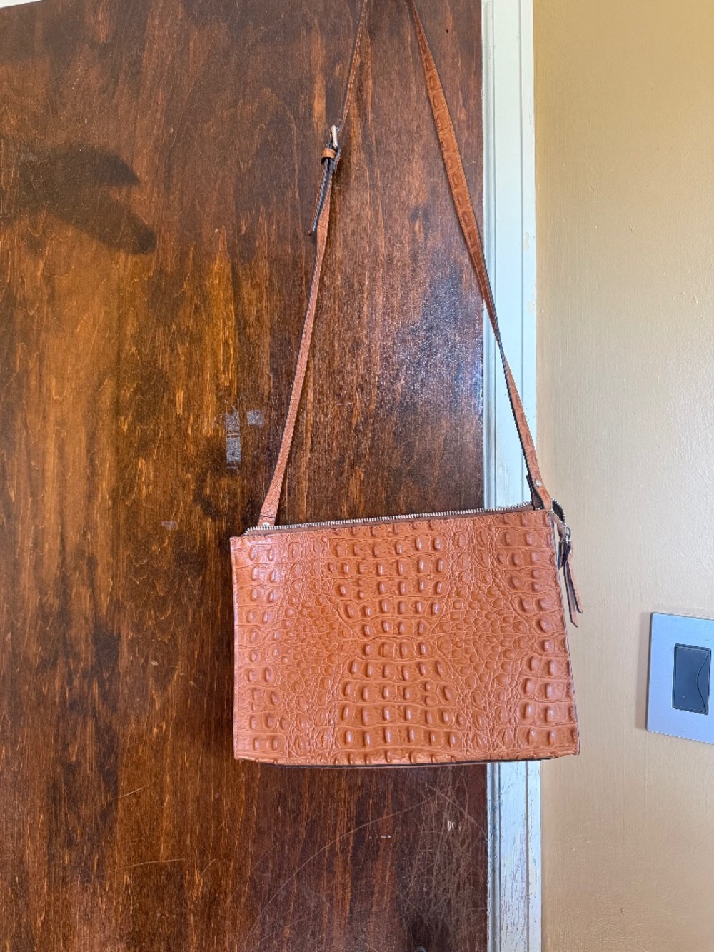 Claudia Firenze Caiman Purse